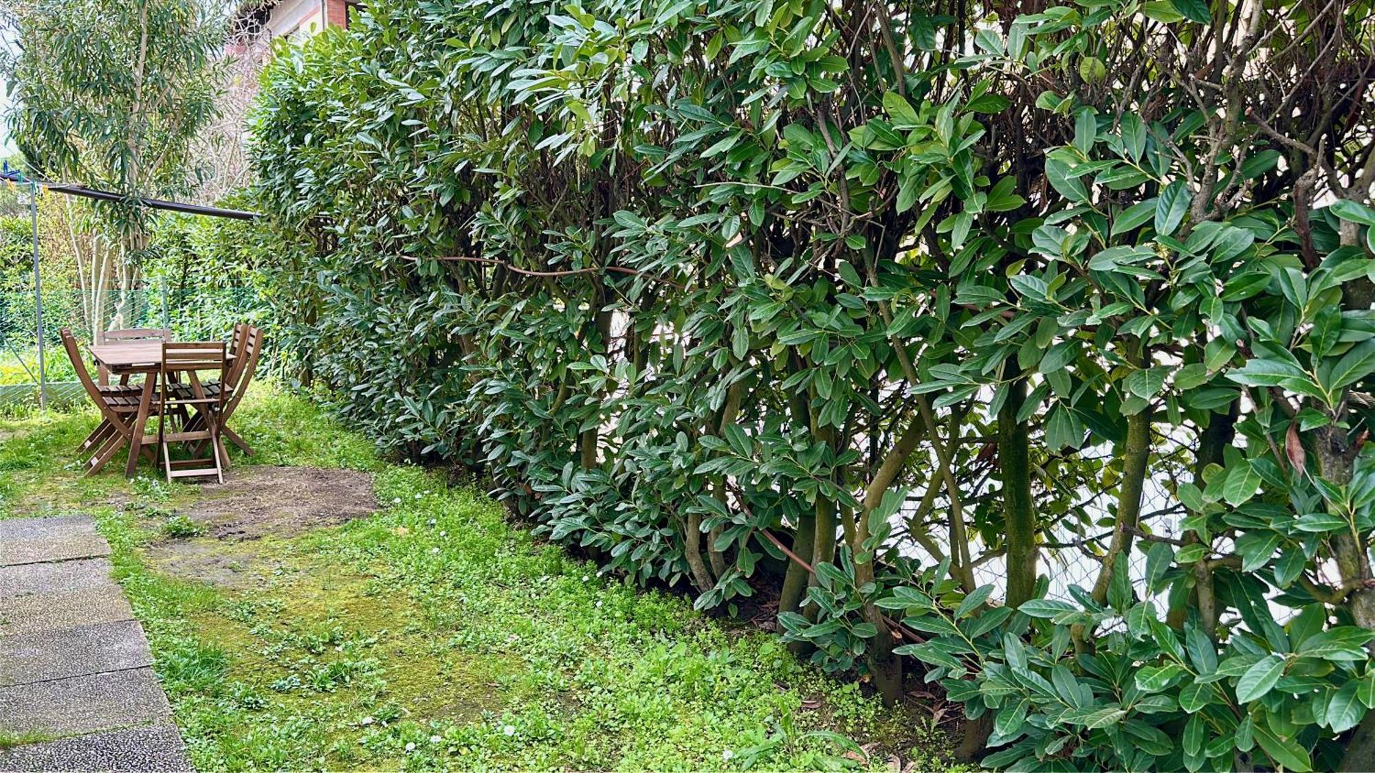 Appartamenti Villa Renata リッチョーネ エクステリア 写真